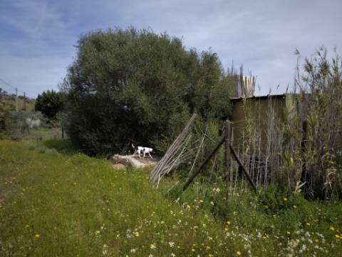 TERRENO COM 1.360 M2 - COM FURO - ÁGUA E ELETRICIDADE - JUNTO AO RIO GUADIANA - FOZ DE ODELEITE - CASTRO MARIM - ALGARVE