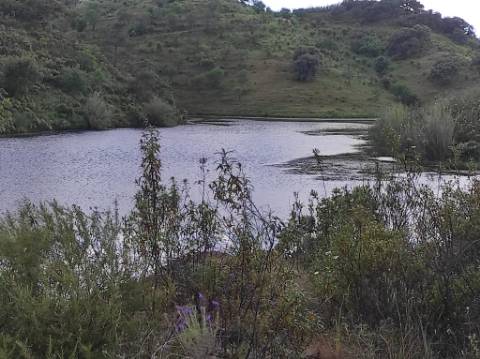 MORADIA TÉRREA - ISOLADA - COM FURO - COM TERRENO DE 600 M2 - CORTE PEQUENA - ODELEITE - CASTRO MARIM