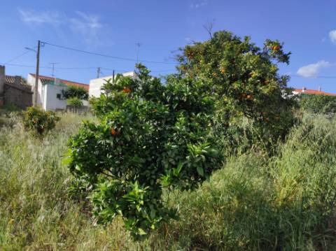 MORADIA TÉRREA - ISOLADA - COM FURO - COM TERRENO DE 600 M2 - CORTE PEQUENA - ODELEITE - CASTRO MARIM