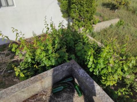 MORADIA TÉRREA - ISOLADA - COM FURO - COM TERRENO DE 600 M2 - CORTE PEQUENA - ODELEITE - CASTRO MARIM