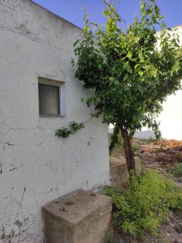 MORADIA TÉRREA - ISOLADA - COM FURO - COM TERRENO DE 600 M2 - CORTE PEQUENA - ODELEITE - CASTRO MARIM