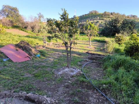 MORADIA TÉRREA - ISOLADA - COM FURO - COM TERRENO DE 600 M2 - CORTE PEQUENA - ODELEITE - CASTRO MARIM