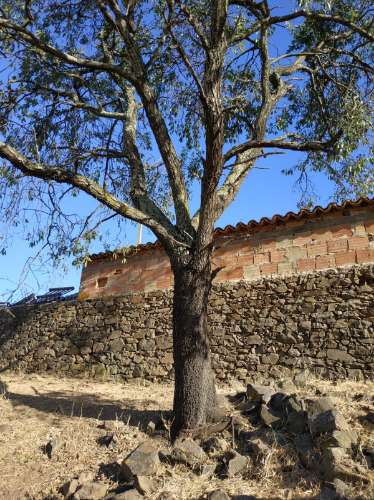RUÍNA COM TERRENO E VISTA MAR NO MAGOITO EM ODELEITE - CASTRO MARIM