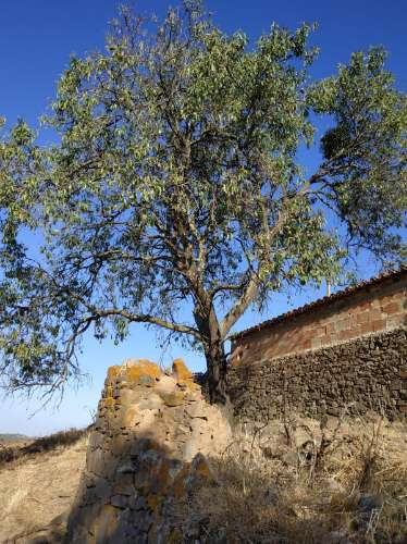 RUÍNA COM TERRENO E VISTA MAR NO MAGOITO EM ODELEITE - CASTRO MARIM