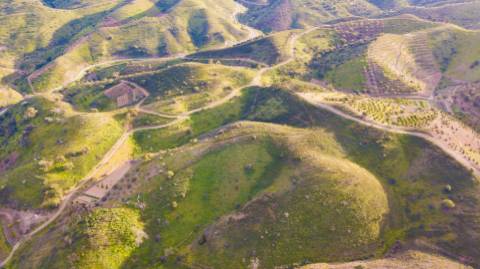 Terreno Rústico - 14600m2 - Fontainhas - Cortelha - Azinhal - Castro Marim