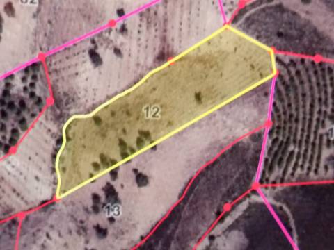 TERRENO RUSTICO COM 6.720 M2 - PRÓXIMO DA BARRAGEM DO BELICHE EM ALCARIAS GRANDES - CASTRO MARIM - ALGARVE