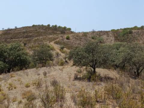 TERRENO RUSTICO COM 6.720 M2 - PRÓXIMO DA BARRAGEM DO BELICHE EM ALCARIAS GRANDES - CASTRO MARIM - ALGARVE