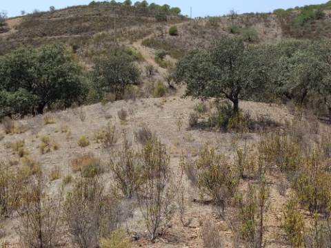 TERRENO RUSTICO COM 6.720 M2 - PRÓXIMO DA BARRAGEM DO BELICHE EM ALCARIAS GRANDES - CASTRO MARIM - ALGARVE