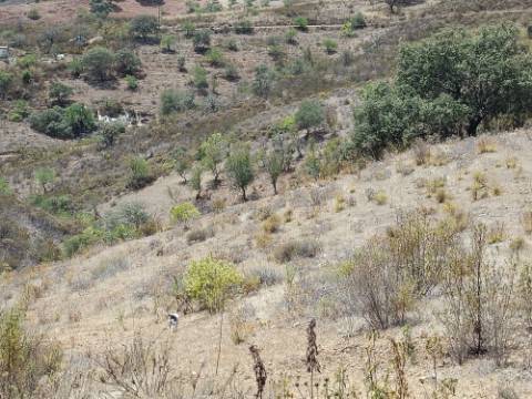 TERRENO RUSTICO COM 6.720 M2 - PRÓXIMO DA BARRAGEM DO BELICHE EM ALCARIAS GRANDES - CASTRO MARIM - ALGARVE