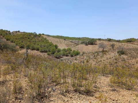 TERRENO RUSTICO COM 6.720 M2 - PRÓXIMO DA BARRAGEM DO BELICHE EM ALCARIAS GRANDES - CASTRO MARIM - ALGARVE