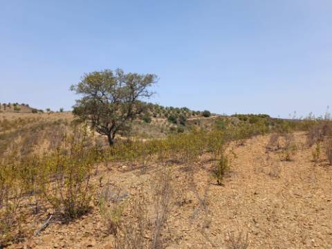 TERRENO RUSTICO COM 6.720 M2 - PRÓXIMO DA BARRAGEM DO BELICHE EM ALCARIAS GRANDES - CASTRO MARIM - ALGARVE
