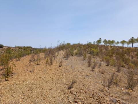 TERRENO RUSTICO COM 6.720 M2 - PRÓXIMO DA BARRAGEM DO BELICHE EM ALCARIAS GRANDES - CASTRO MARIM - ALGARVE