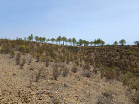 TERRENO RUSTICO COM 6.720 M2 - PRÓXIMO DA BARRAGEM DO BELICHE EM ALCARIAS GRANDES - CASTRO MARIM - ALGARVE