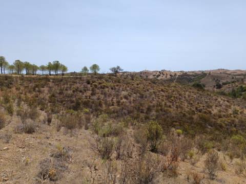 TERRENO RUSTICO COM 6.720 M2 - PRÓXIMO DA BARRAGEM DO BELICHE EM ALCARIAS GRANDES - CASTRO MARIM - ALGARVE