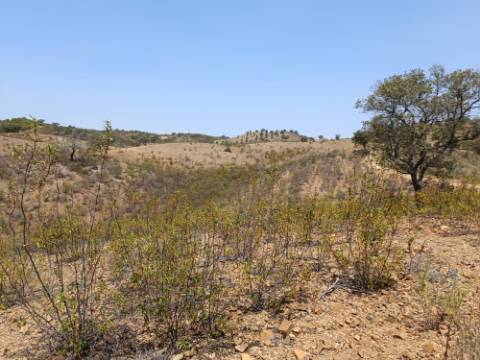 TERRENO RUSTICO COM 6.720 M2 - PRÓXIMO DA BARRAGEM DO BELICHE EM ALCARIAS GRANDES - CASTRO MARIM - ALGARVE