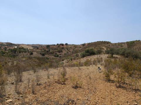 TERRENO RUSTICO COM 6.720 M2 - PRÓXIMO DA BARRAGEM DO BELICHE EM ALCARIAS GRANDES - CASTRO MARIM - ALGARVE