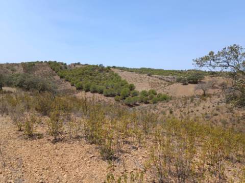 TERRENO RUSTICO COM 6.720 M2 - PRÓXIMO DA BARRAGEM DO BELICHE EM ALCARIAS GRANDES - CASTRO MARIM - ALGARVE