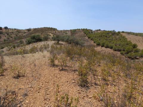 TERRENO RUSTICO COM 6.720 M2 - PRÓXIMO DA BARRAGEM DO BELICHE EM ALCARIAS GRANDES - CASTRO MARIM - ALGARVE