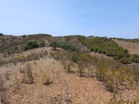 TERRENO RUSTICO COM 6.720 M2 - PRÓXIMO DA BARRAGEM DO BELICHE EM ALCARIAS GRANDES - CASTRO MARIM - ALGARVE
