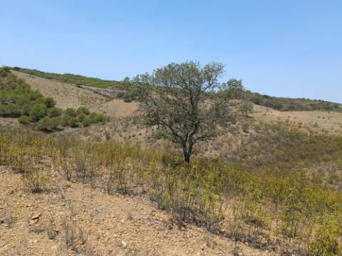 TERRENO RUSTICO COM 6.720 M2 - PRÓXIMO DA BARRAGEM DO BELICHE EM ALCARIAS GRANDES - CASTRO MARIM - ALGARVE