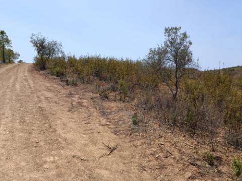 TERRENO RUSTICO COM 6.720 M2 - PRÓXIMO DA BARRAGEM DO BELICHE EM ALCARIAS GRANDES - CASTRO MARIM - ALGARVE