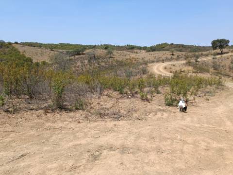 TERRENO RUSTICO COM 6.720 M2 - PRÓXIMO DA BARRAGEM DO BELICHE EM ALCARIAS GRANDES - CASTRO MARIM - ALGARVE