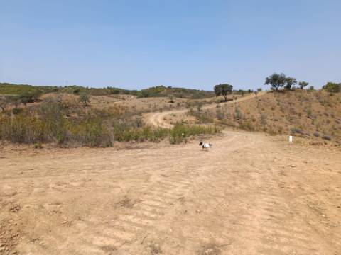 TERRENO RUSTICO COM 6.720 M2 - PRÓXIMO DA BARRAGEM DO BELICHE EM ALCARIAS GRANDES - CASTRO MARIM - ALGARVE