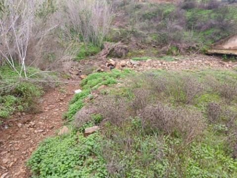 TERRENO RÚSTICO COM 720 M2 - ALCARIAS GRANDES - CASTRO MARIM - ALGARVE