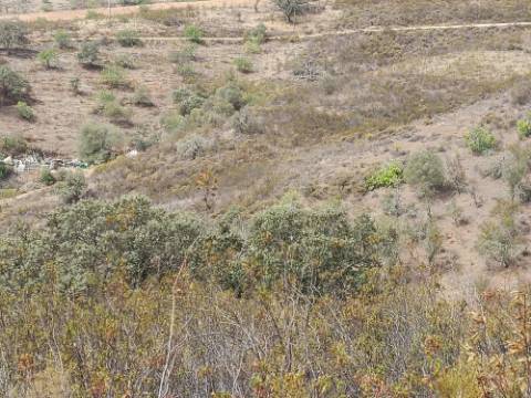 TERRENO COM 21040 M2 VISTA LAGO - PRÓXIMO AS ALCARIAS GRANDES - CASTRO MARIM - ALGARVE