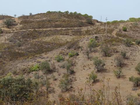 TERRENO COM 21040 M2 VISTA LAGO - PRÓXIMO AS ALCARIAS GRANDES - CASTRO MARIM - ALGARVE