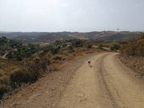 TERRENO COM 21040 M2 VISTA LAGO - PRÓXIMO AS ALCARIAS GRANDES - CASTRO MARIM - ALGARVE