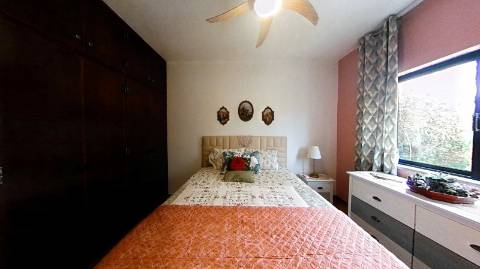 Fantástica moradia de 3 pisos com garagem, logradouro e jardim!