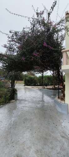 Fantástica moradia de 3 pisos com garagem, logradouro e jardim!