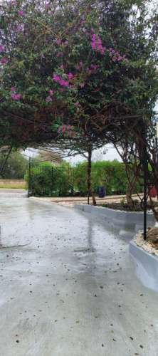 Fantástica moradia de 3 pisos com garagem, logradouro e jardim!