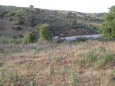TERRENO RÚSTICO COM 3.520 M2 - CORTE DO GAGO - AZINHAL - CASTRO MARIM - ALGARVE