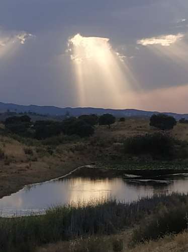 TERRENO RÚSTICO COM 3.520 M2 - CORTE DO GAGO - AZINHAL - CASTRO MARIM - ALGARVE
