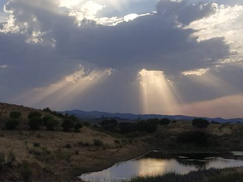 TERRENO RÚSTICO COM 3.520 M2 - CORTE DO GAGO - AZINHAL - CASTRO MARIM - ALGARVE