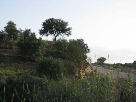 TERRENO RÚSTICO COM 3.520 M2 - CORTE DO GAGO - AZINHAL - CASTRO MARIM - ALGARVE