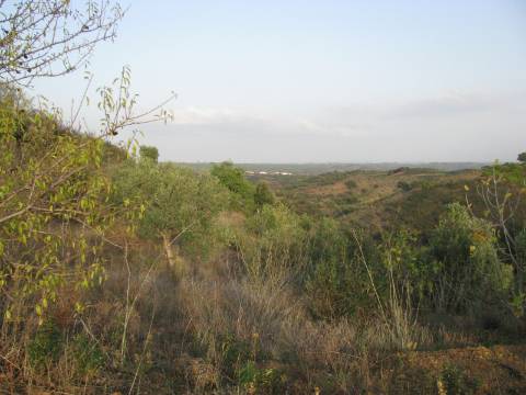 TERRENO RÚSTICO COM 3.520 M2 - CORTE DO GAGO - AZINHAL - CASTRO MARIM - ALGARVE