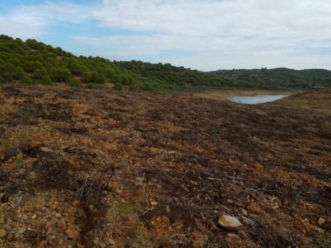 TERRENO RÚSTICO COM 7880 M2 JUNTO A BARRAGEM DO BELICHE - AZINHAL - CASTRO MARIM - ALGARVE - PORTUGAL
