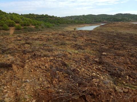 TERRENO RÚSTICO COM 7880 M2 JUNTO A BARRAGEM DO BELICHE - AZINHAL - CASTRO MARIM - ALGARVE - PORTUGAL