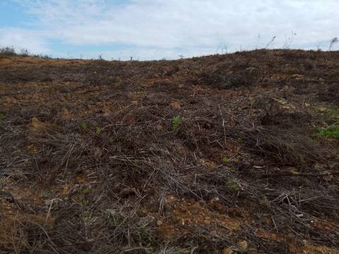 TERRENO RÚSTICO COM 7880 M2 JUNTO A BARRAGEM DO BELICHE - AZINHAL - CASTRO MARIM - ALGARVE - PORTUGAL