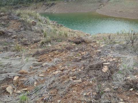 TERRENO RÚSTICO COM 7880 M2 JUNTO A BARRAGEM DO BELICHE - AZINHAL - CASTRO MARIM - ALGARVE - PORTUGAL