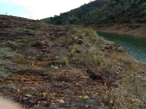 TERRENO RÚSTICO COM 7880 M2 JUNTO A BARRAGEM DO BELICHE - AZINHAL - CASTRO MARIM - ALGARVE - PORTUGAL