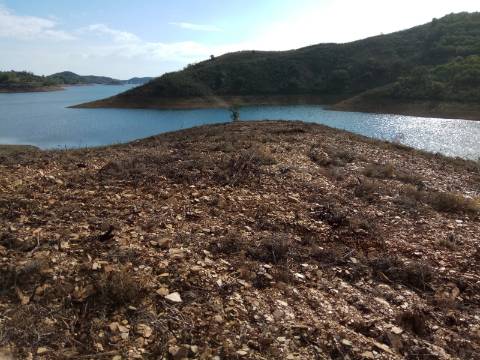 TERRENO RÚSTICO COM 7880 M2 JUNTO A BARRAGEM DO BELICHE - AZINHAL - CASTRO MARIM - ALGARVE - PORTUGAL