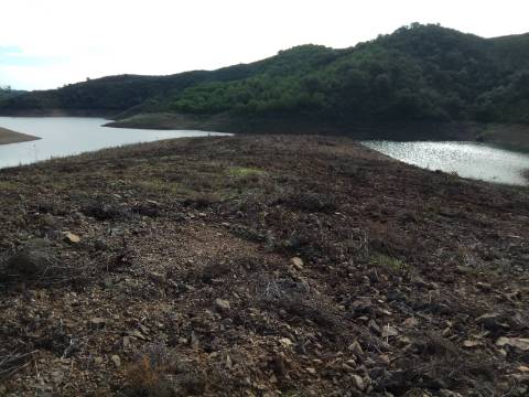 TERRENO RÚSTICO COM 7880 M2 JUNTO A BARRAGEM DO BELICHE - AZINHAL - CASTRO MARIM - ALGARVE - PORTUGAL