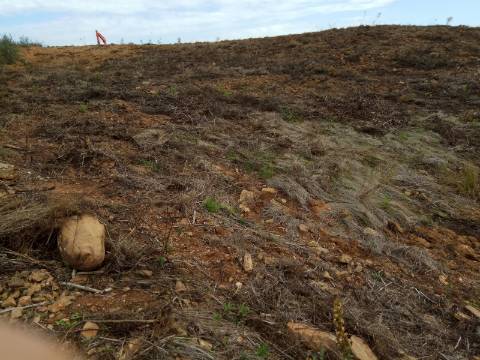 TERRENO RÚSTICO COM 7880 M2 JUNTO A BARRAGEM DO BELICHE - AZINHAL - CASTRO MARIM - ALGARVE - PORTUGAL