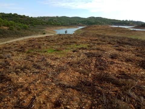 TERRENO RÚSTICO COM 7880 M2 JUNTO A BARRAGEM DO BELICHE - AZINHAL - CASTRO MARIM - ALGARVE - PORTUGAL