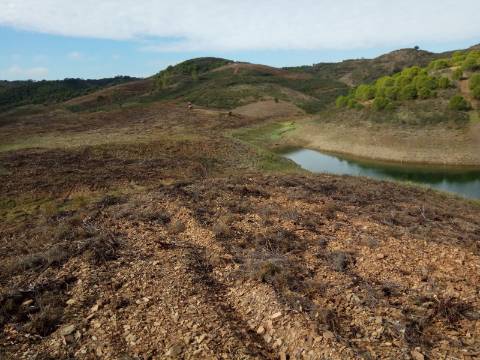 TERRENO RÚSTICO COM 7880 M2 JUNTO A BARRAGEM DO BELICHE - AZINHAL - CASTRO MARIM - ALGARVE - PORTUGAL
