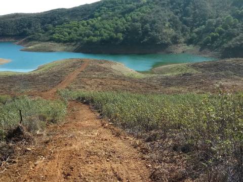 TERRENO RÚSTICO COM 7880 M2 JUNTO A BARRAGEM DO BELICHE - AZINHAL - CASTRO MARIM - ALGARVE - PORTUGAL